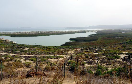 Humedal Laguna Conchali