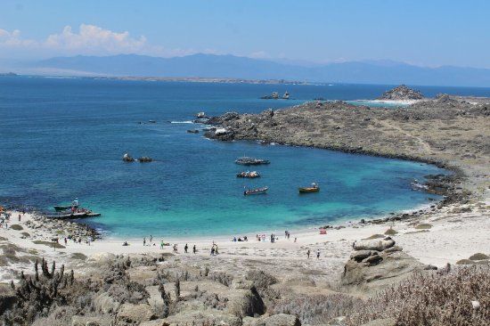 Punta de Choros