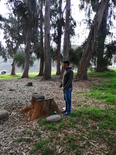Parque Coll