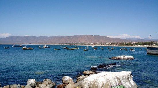 Playa Guanaqueros