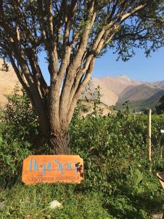 Elqui Spa